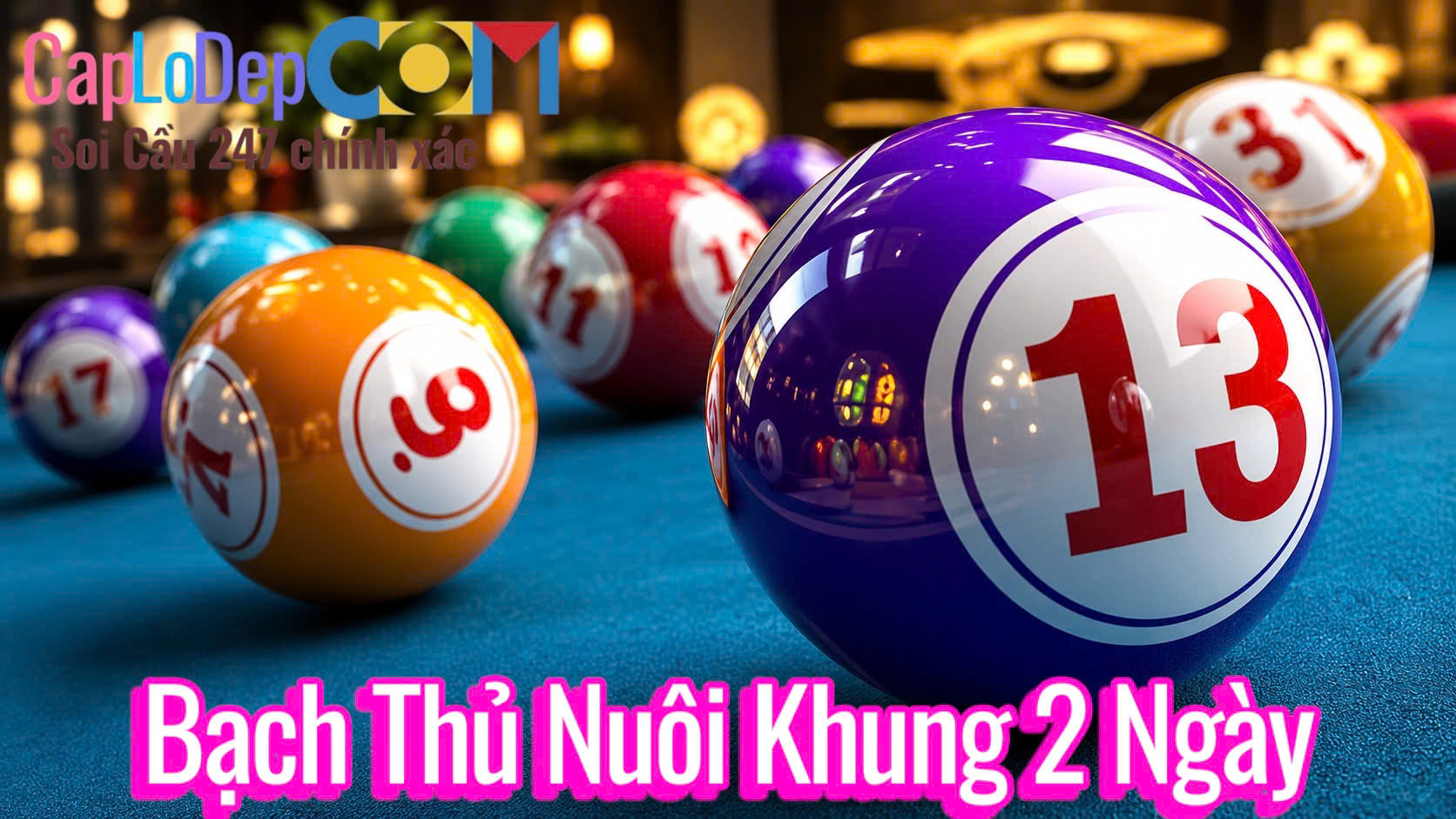 Bạch thủ nuôi khung 2 ngày