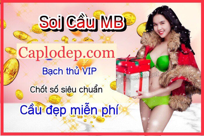 soi-cau-888-2-nhay-du-doan-xo-so-mien-bac-ngay-08-05
