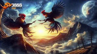 Đá Gà Thomo SV388