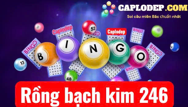 Rồng bạch kim 246